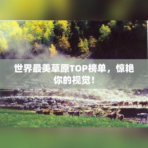 世界最美草原TOP榜单，惊艳你的视觉！