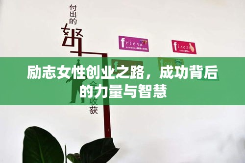 励志女性创业之路，成功背后的力量与智慧