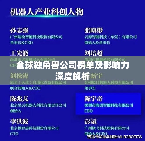 全球独角兽公司榜单及影响力深度解析