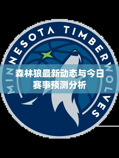 森林狼最新动态与今日赛事预测分析