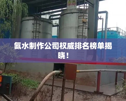 氨水制作公司权威排名榜单揭晓！