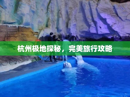 杭州极地探秘，完美旅行攻略