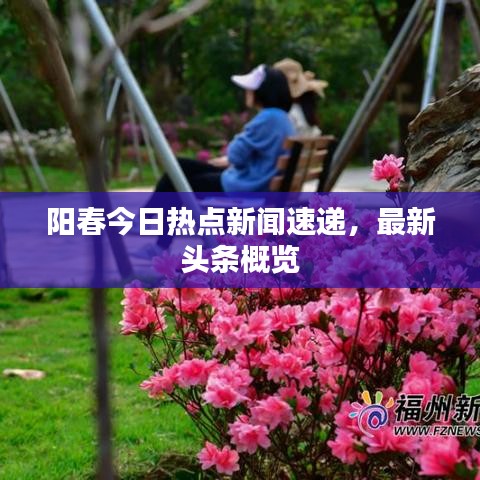 阳春今日热点新闻速递，最新头条概览