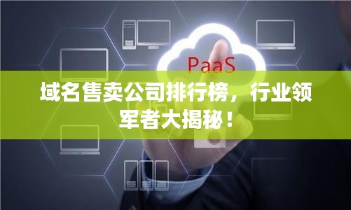 域名售卖公司排行榜，行业领军者大揭秘！