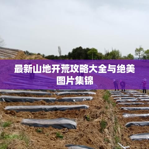 最新山地开荒攻略大全与绝美图片集锦
