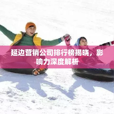 延边营销公司排行榜揭晓，影响力深度解析