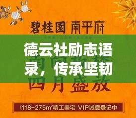 德云社励志语录，传承坚韧精神，人物背后的力量故事