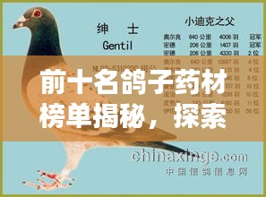 前十名鸽子药材榜单揭秘，探索鸽子药材的奥秘