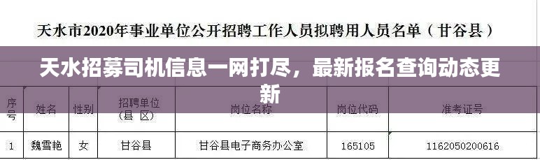 天水招募司机信息一网打尽，最新报名查询动态更新