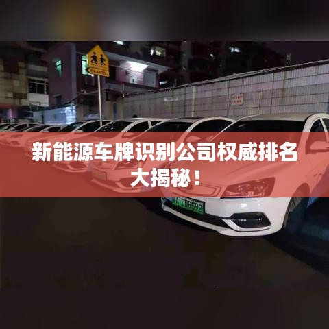新能源车牌识别公司权威排名大揭秘！