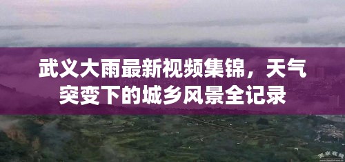 武义大雨最新视频集锦，天气突变下的城乡风景全记录