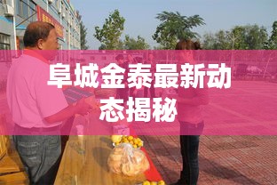 阜城金泰最新动态揭秘