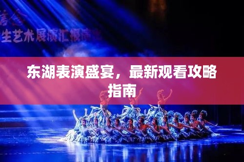 东湖表演盛宴，最新观看攻略指南