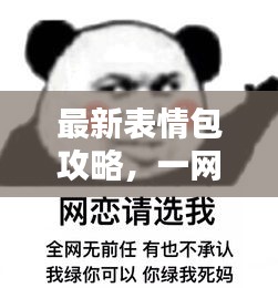 最新表情包攻略，一网打尽，轻松获取所有表情图片！