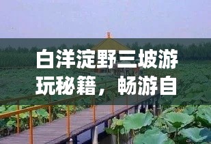 白洋淀野三坡游玩秘籍，畅游自然美景，尽享极致体验！
