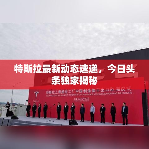 特斯拉最新动态速递，今日头条独家揭秘