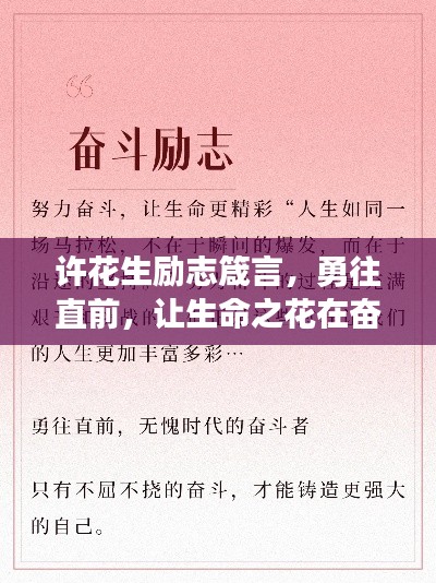 许花生励志箴言，勇往直前，让生命之花在奋斗中绽放光彩