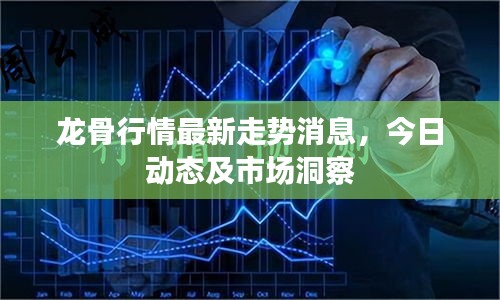 龙骨行情最新走势消息，今日动态及市场洞察
