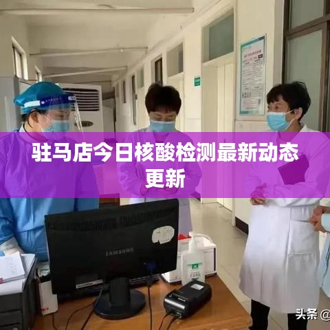 驻马店今日核酸检测最新动态更新