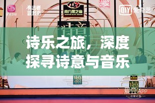 诗乐之旅，深度探寻诗意与音乐的完美结合攻略