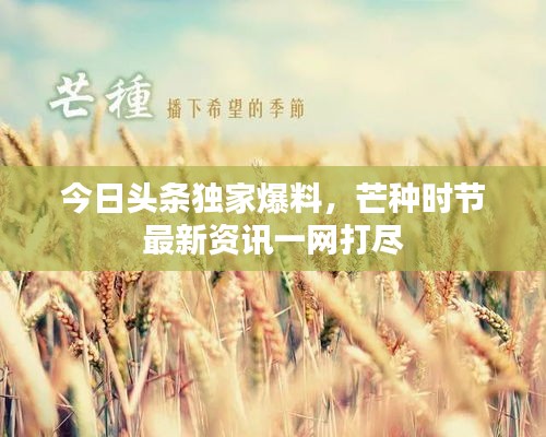 今日头条独家爆料，芒种时节最新资讯一网打尽