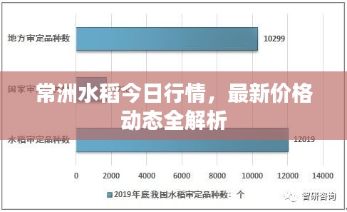 常洲水稻今日行情，最新价格动态全解析