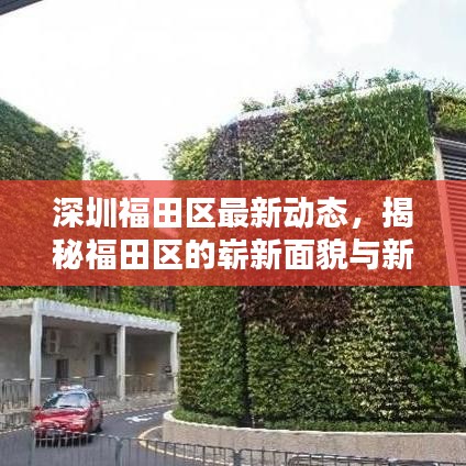 深圳福田区最新动态，揭秘福田区的崭新面貌与新闻头条