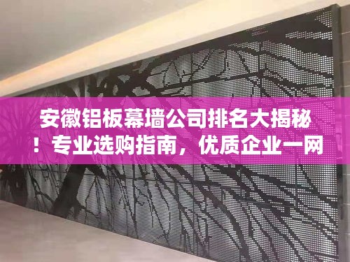 安徽铝板幕墙公司排名大揭秘！专业选购指南，优质企业一网打尽