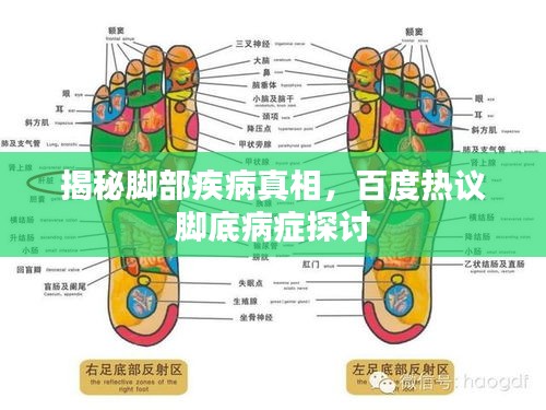 揭秘脚部疾病真相，百度热议脚底病症探讨
