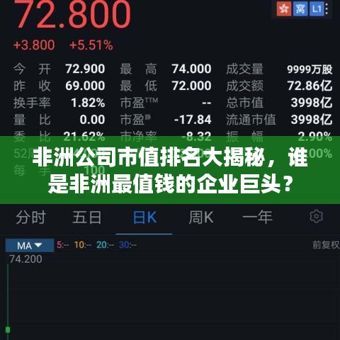 非洲公司市值排名大揭秘，谁是非洲最值钱的企业巨头？
