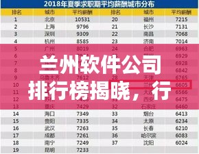 兰州软件公司排行榜揭晓，行业领军者一览