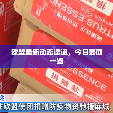 欧盟最新动态速递，今日要闻一览