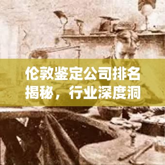 伦敦鉴定公司排名揭秘，行业深度洞察报告
