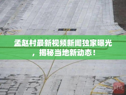 孟赵村最新视频新闻独家曝光，揭秘当地新动态！