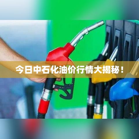 今日中石化油价行情大揭秘！