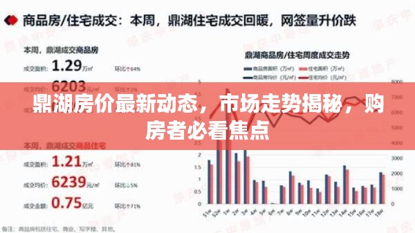 鼎湖房价最新动态，市场走势揭秘，购房者必看焦点