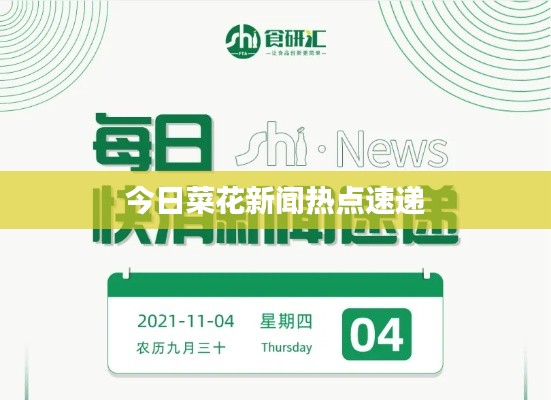 今日菜花新闻热点速递