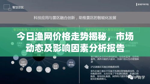 今日渔网价格走势揭秘，市场动态及影响因素分析报告