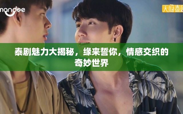 泰剧魅力大揭秘，缘来誓你，情感交织的奇妙世界