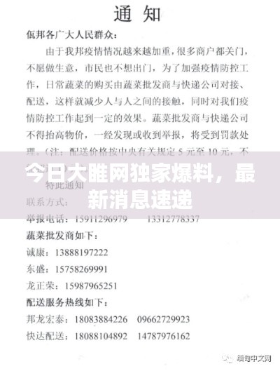 今日大睢网独家爆料，最新消息速递