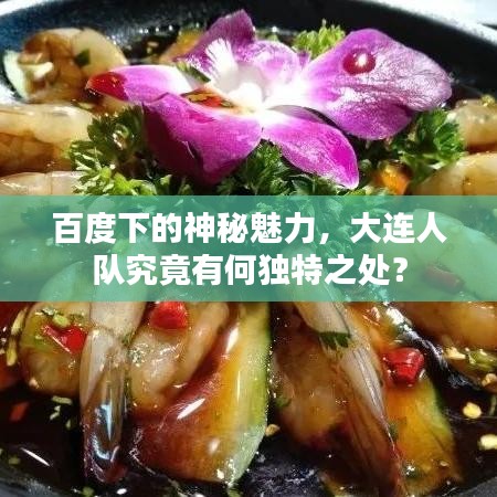 百度下的神秘魅力，大连人队究竟有何独特之处？