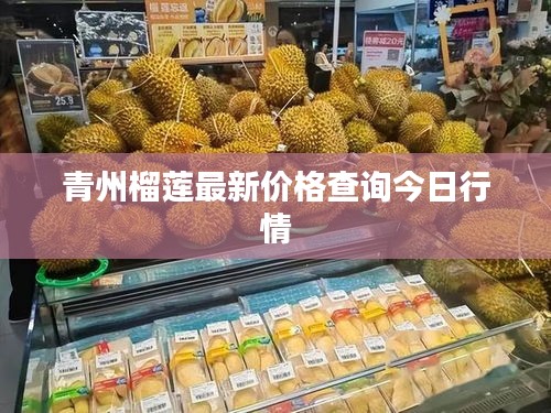 青州榴莲最新价格查询今日行情