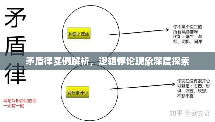 矛盾律实例解析，逻辑悖论现象深度探索