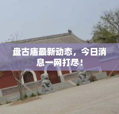 盘古庙最新动态，今日消息一网打尽！