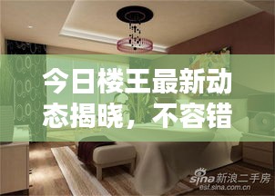 今日楼王最新动态揭晓，不容错过的消息查询！