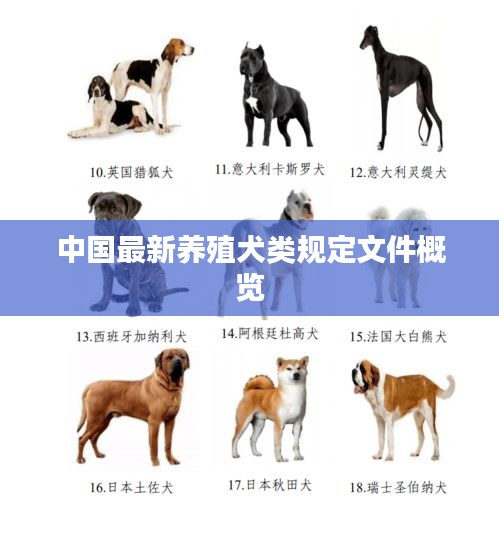 中国最新养殖犬类规定文件概览