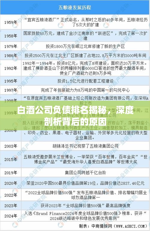白酒公司负债排名揭秘，深度剖析背后的原因