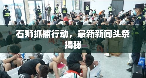 石狮抓捕行动，最新新闻头条揭秘