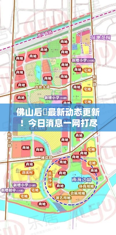 佛山后滘最新动态更新！今日消息一网打尽