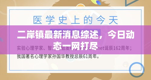 二岸镇最新消息综述，今日动态一网打尽